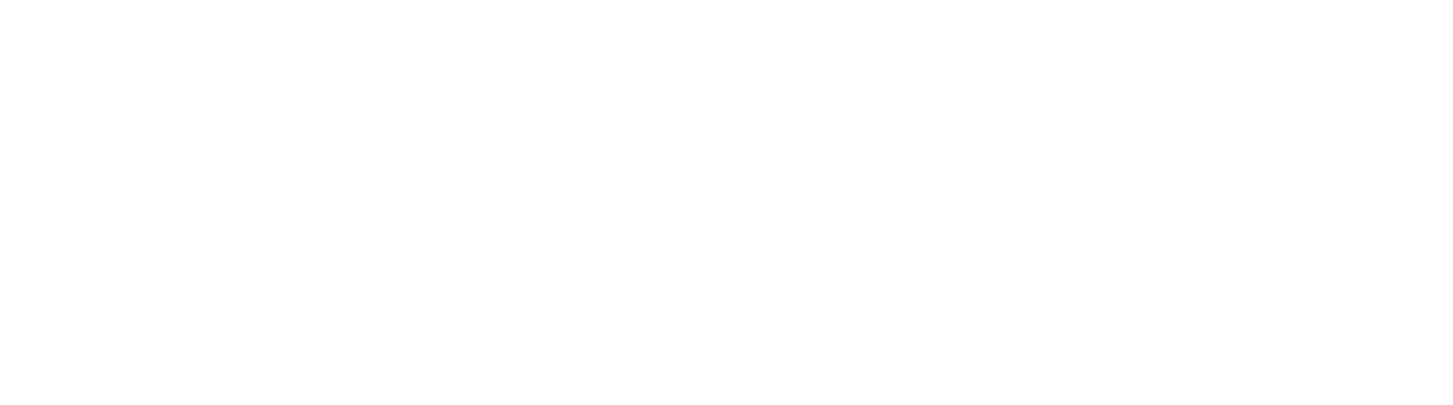 元気な種すくすくと